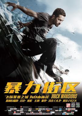 暴力街区 Brick Mansions (2014) - 毒蛇电影