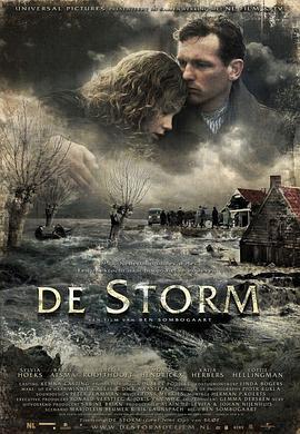 暴风雨 De storm (2009) - 毒蛇电影