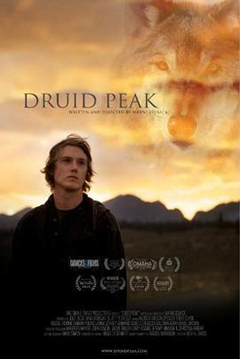 德鲁伊峰 Druid Peak (2014) - 毒蛇电影