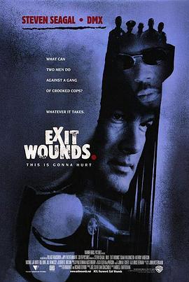 以毒攻毒 Exit Wounds (2001) - 毒蛇电影