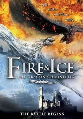 冰与火 Fire & Ice (2008) - 毒蛇电影