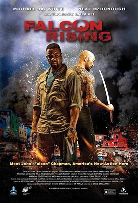 猎鹰突起 Falcon Rising (2014) - 毒蛇电影