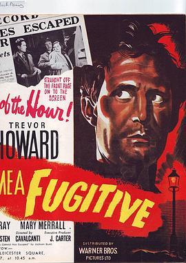 他们使我成为亡命徒 They Made Me a Fugitive (1947) - 毒蛇电影