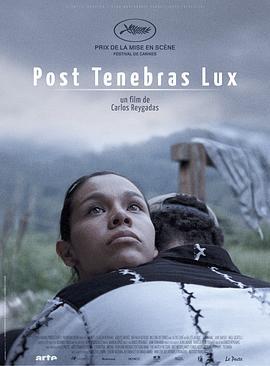 柳暗花明 Post Tenebras Lux (2012) - 毒蛇电影