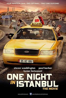 伊斯坦堡奇迹夜 One Night In Istanbul (2014) - 毒蛇电影