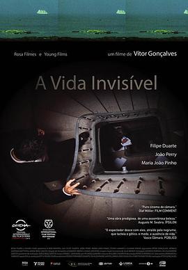 隐形人生 A Vida Invisível (2013) - 毒蛇电影