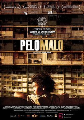 坏头发 Pelo malo (2013) - 毒蛇电影