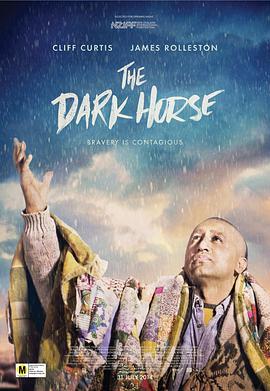 黑马 The Dark Horse (2014) - 毒蛇电影