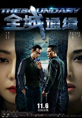 全城通缉  (2014) - 毒蛇电影