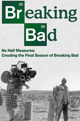 绝不折中：绝命毒师最终季制作记录 No Half Measures: Creating the Final Season of Breaking Bad (2013) - 毒蛇电影