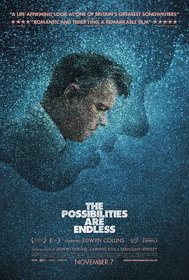 无限可能 The Possibilities Are Endless (2014) - 毒蛇电影