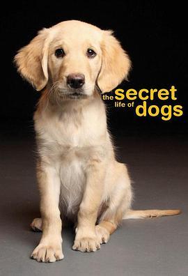 狗的秘密生活 Secret Life of Dogs (2013) - 毒蛇电影