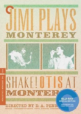 奥蒂斯震撼蒙特雷音乐节 Shake!: Otis at Monterey (1987) - 毒蛇电影