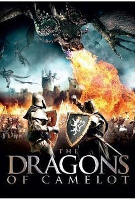 柯萊特龍 dragons of camelot (2014) - 毒蛇电影