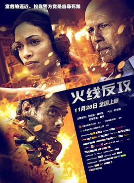 火线反攻 Fire with Fire (2012) - 毒蛇电影