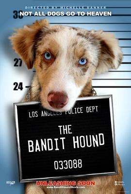 猎犬强盗 The Bandit Hound (2016) - 毒蛇电影