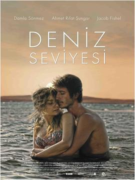 平面的海上 Deniz Seviyesi (2014) - 毒蛇电影