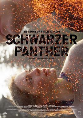 黑豹 Schwarzer Panther (2014) - 毒蛇电影