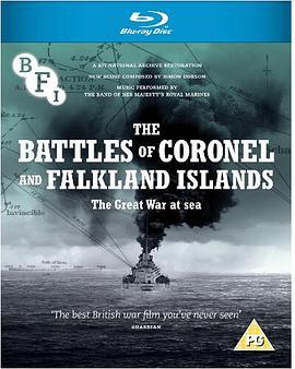 福克兰群岛与科罗内尔战役 The Battles of Coronel and Falkland Islands (1927) - 毒蛇电影