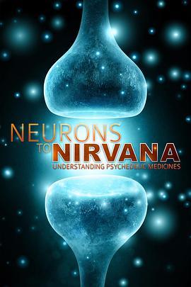 从神经元到极乐世界：伟大的药物 From Neurons to Nirvana: The Great Medicines (2013) - 毒蛇电影