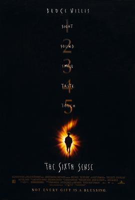 第六感 The Sixth Sense (1999) - 毒蛇电影