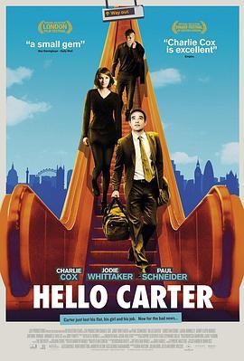 你好卡特 Hello Carter (2013) - 毒蛇电影