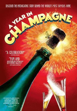 香槟的一年 A Year in Champagne (2014) - 毒蛇电影