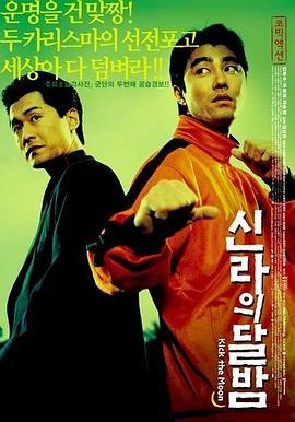 反转街头2人帮 신라의 달밤 (2001) - 毒蛇电影