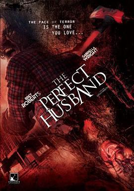 完美丈夫 The Perfect Husband (2014) - 毒蛇电影