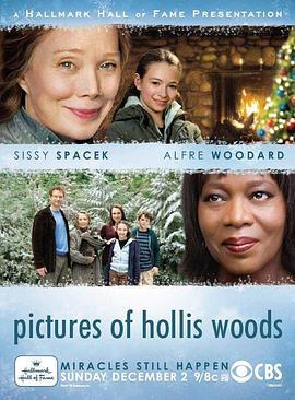 孤女梦痕 Pictures of Hollis Woods (2007) - 毒蛇电影