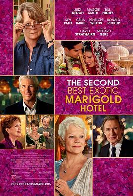 涉外大饭店2 The Second Best Exotic Marigold Hotel (2015) - 毒蛇电影