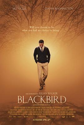 黑鸟 Blackbird (2014) - 毒蛇电影