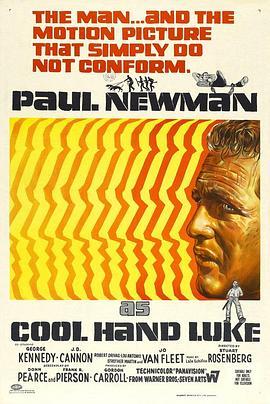 铁窗喋血 Cool Hand Luke (1967) - 毒蛇电影