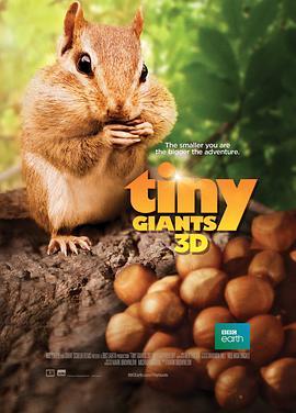 小巨人 3D Tiny Giants 3D (2014) - 毒蛇电影