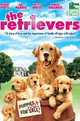 流浪犬 The Retrievers (2001) - 毒蛇电影