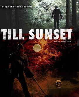 Till Sunset  (2010) - 毒蛇电影