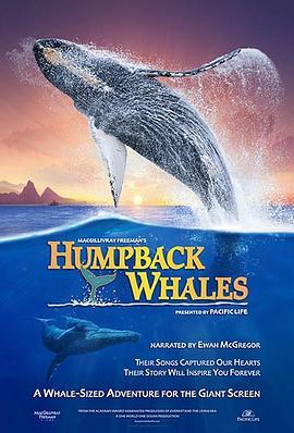 座头鲸 Humpback Whales (2015) - 毒蛇电影