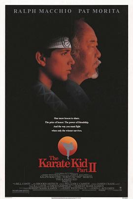 龙威小子2 The Karate Kid Part II (1986) - 毒蛇电影