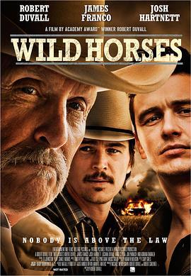 野马 Wild Horses (2015) - 毒蛇电影