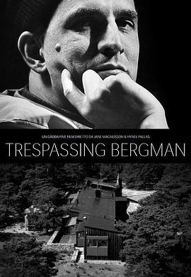 打扰伯格曼 Trespassing Bergman (2013) - 毒蛇电影