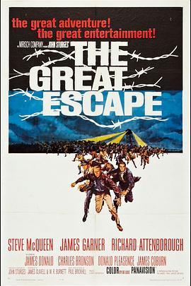 大逃亡 The Great Escape (1963) - 毒蛇电影