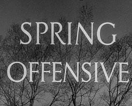 Spring Offensive  (1940) - 毒蛇电影