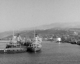 SS Ionian  (1939) - 毒蛇电影