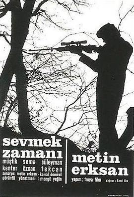 爱情时刻 Sevmek zamani (1965) - 毒蛇电影