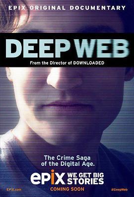 深网：比特币和丝绸之路未透露的故事 Deep Web: The Untold Story of BitCoin and Silk Road (2015) - 毒蛇电影