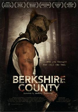 伯克希尔县 Berkshire County (2014) - 毒蛇电影