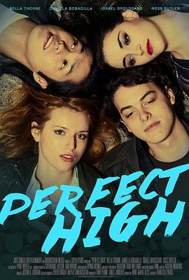 药瘾之殇 Perfect High (2015) - 毒蛇电影