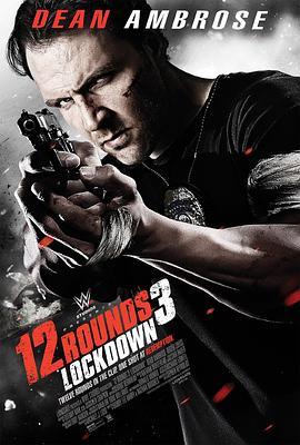 12回合3：致命禁闭 12 Rounds 3: Lockdown (2015) - 毒蛇电影