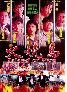 火烧岛 火燒島 (1991) - 毒蛇电影