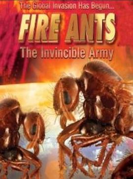 红火蚁：不可战胜的兵团 Fire Ants 3D: The Invincible Army (2012) - 毒蛇电影